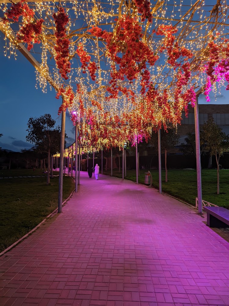 Al Ruddaf Park — photo 2