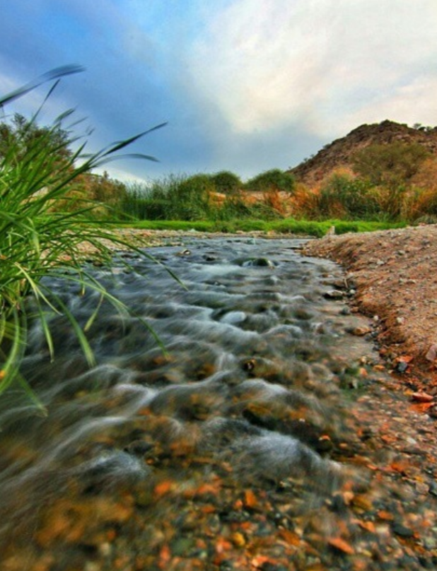 Saysed National park — photo 2