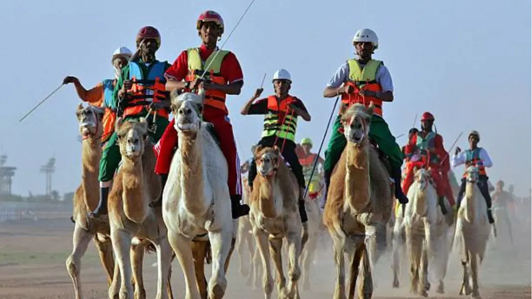 مهرجان الجنادرية — photo 4