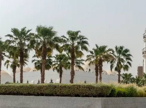 Jaffali Mosque — photo 3