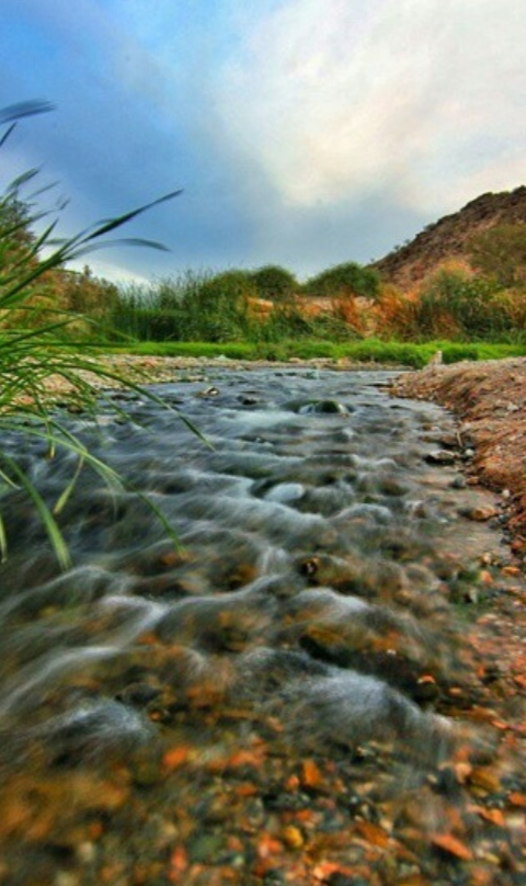 Saysed National park — photo 2