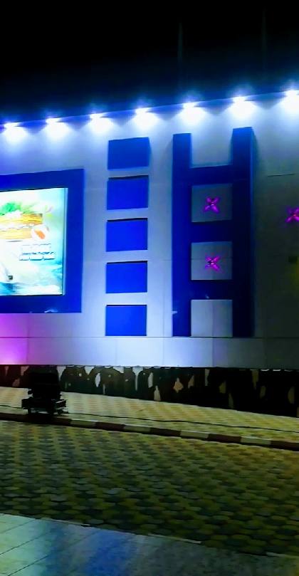 Dolphin and Sea Lion show