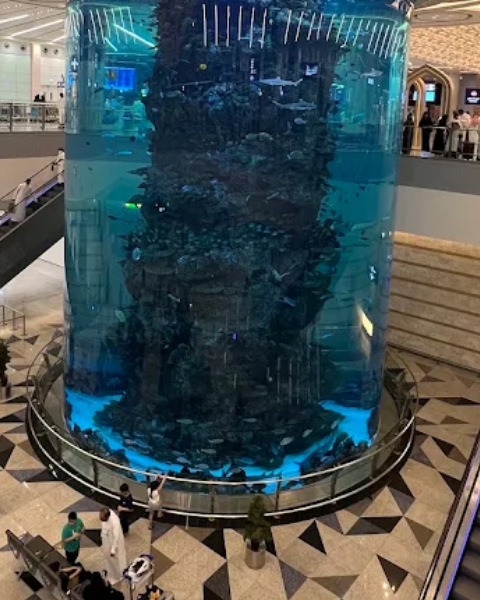 مطار الملك عبد العزيز الدولي مطار الملك عبد العزيز الدولي — photo 4