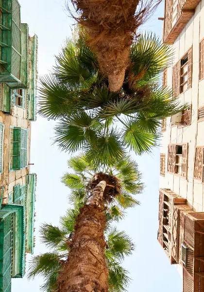 Al-Balad: The Old Heart of Jeddah