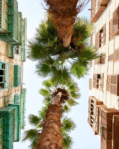 Al-Balad: The Old Heart of Jeddah — photo 1