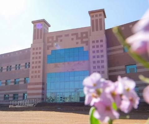 Al Jouf University — photo 2