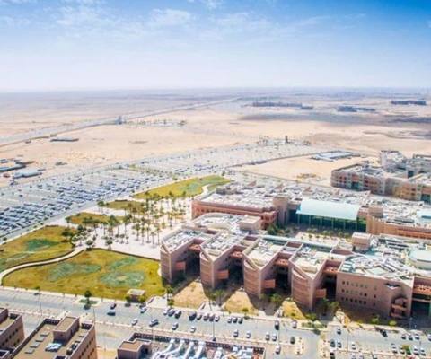 Al Jouf University — photo 1