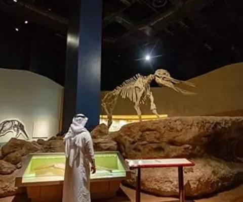 Saudi National Museum — photo 3