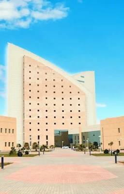 جامعة نجران