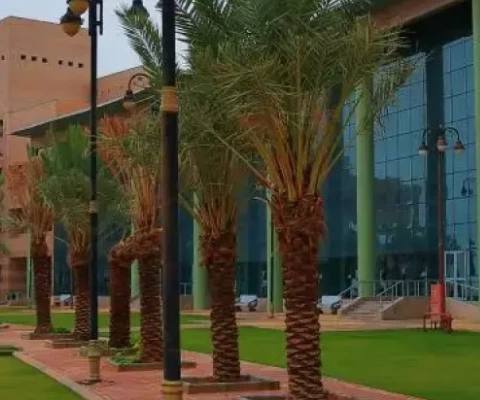 University of Hafr Al Batin — photo 3