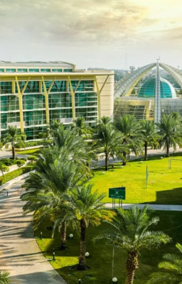 جامعة الفيصل