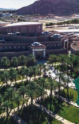 جامعة طيبة